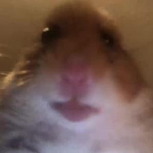 Lol4ik
