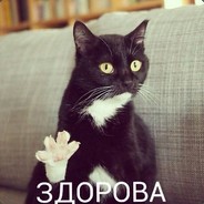 Shtefan