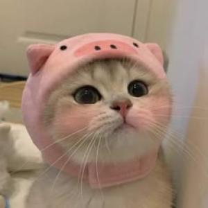Idol